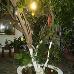 Nopi-zoi