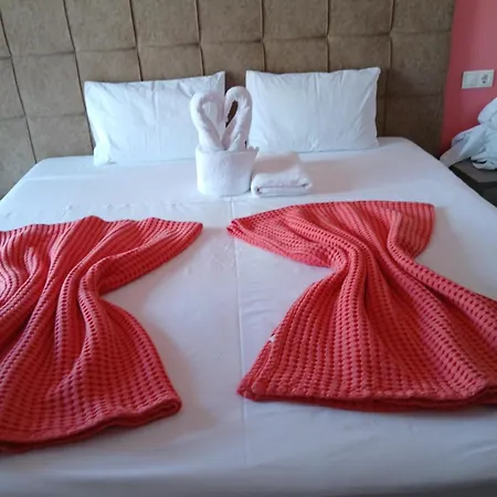 Nopi-zoi Πανσιόν