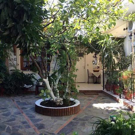 Nopi-zoi بيت ضيافة مدينة سكياثوس