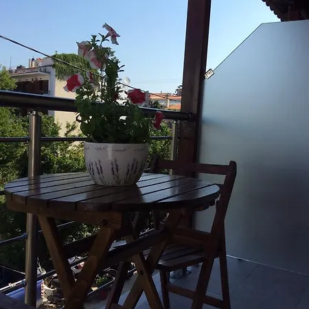 Nopi-zoi Πανσιόν