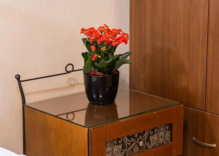 Nopi-zoi Skiathos Chora