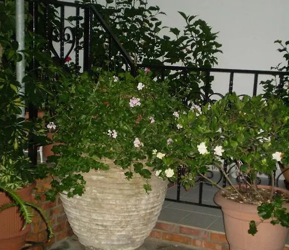 Maison d'hôtes Nopi-zoi 4*