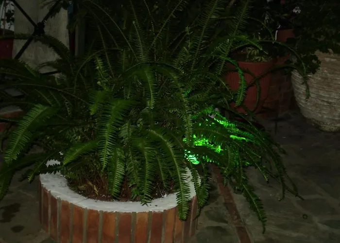 Maison d'hôtes Nopi-zoi 4*