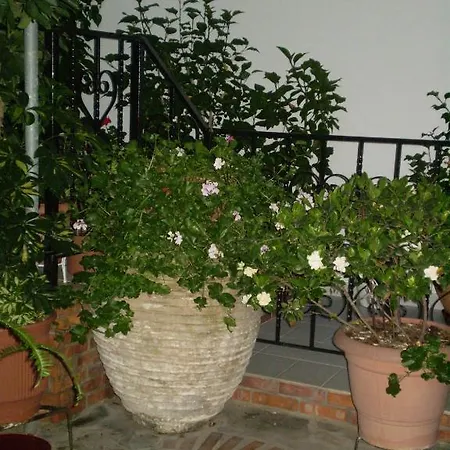 Pensión Nopi-zoi 4*