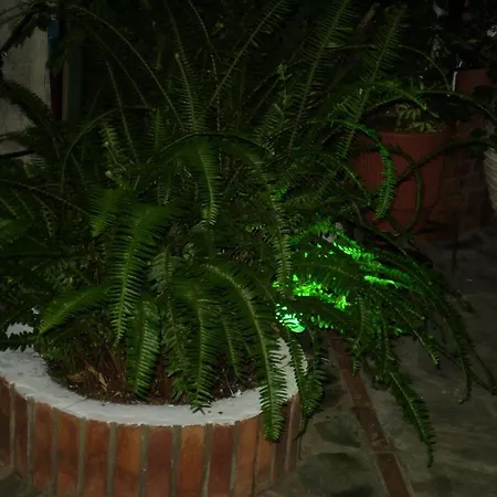 Pensión Nopi-zoi 4*