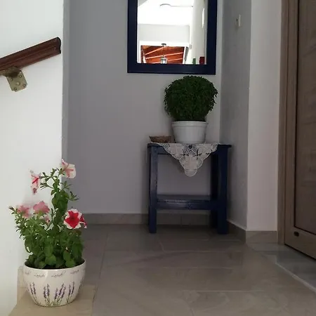 Guest house Nopi-zoi
