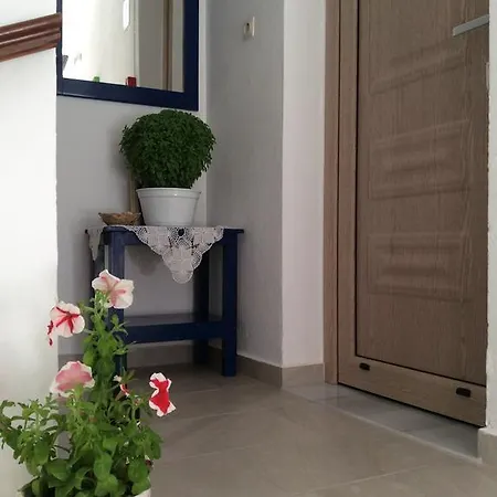 Guest house Nopi-zoi