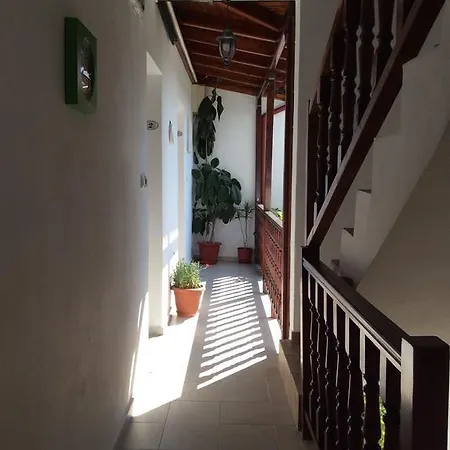 Nopi-zoi Pensión 4*