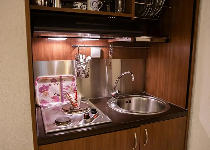 Guest house Nopi-zoi 4*