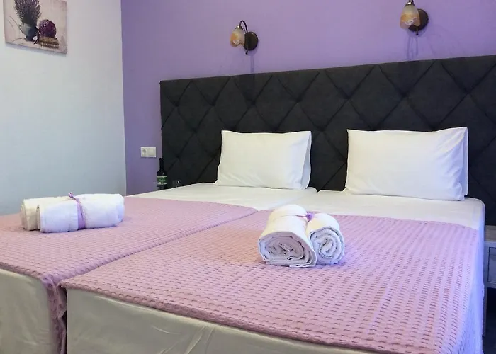 Nopi-zoi Guest house