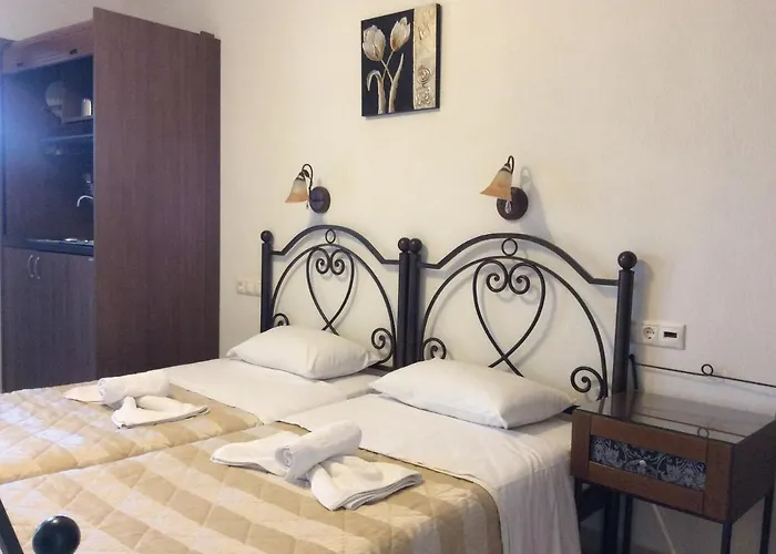 Guest house Nopi-zoi 4*